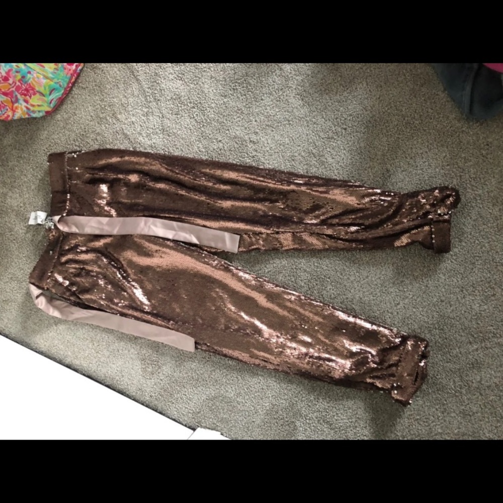 Sequin Pants - image 1